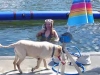 4-sided floating inflatable in-water swimming pool